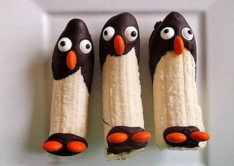 pingouins 